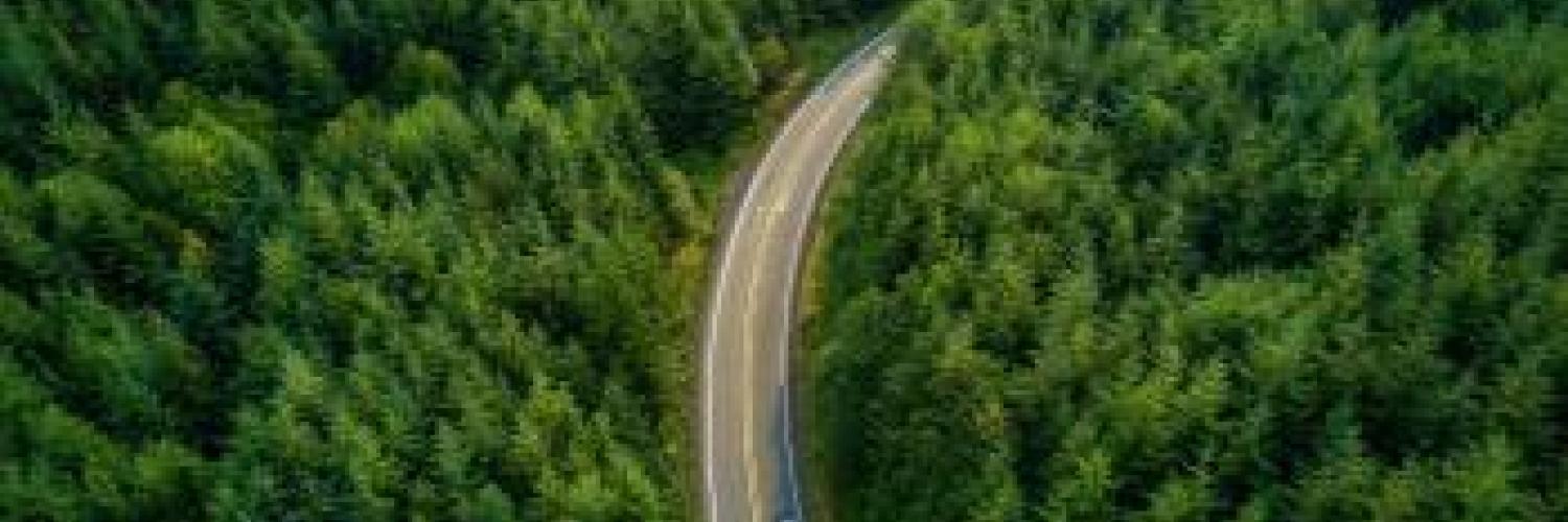 Fiat operativni leasing Fiat operativni leasing